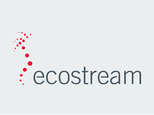 Ecostream logo design